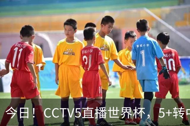 今日！CCTV5直播世界杯，5+转中国男篮VS日本+国乒孙颖莎和王楚钦出战+温网，网络转中超+F1